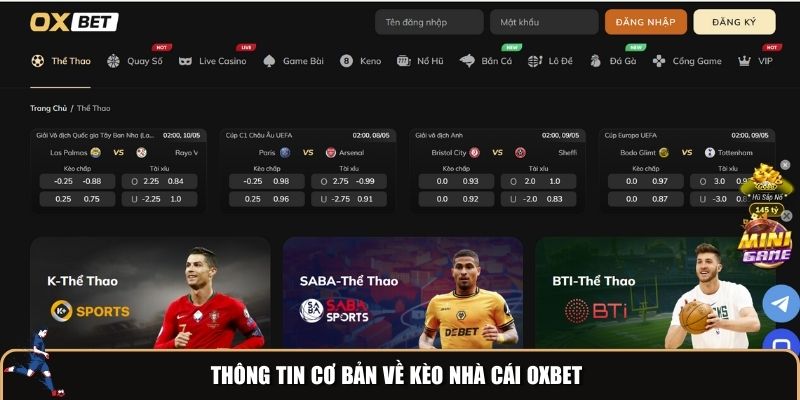 Thông tin cơ bản về kèo nhà cái Oxbet