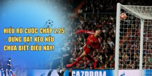 Cược Chấp 2.25 Là Gì? Kinh nghiệm đặt kèo chuẩn