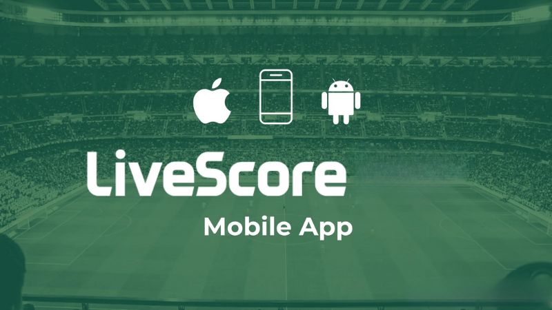 Livescore cung cấp rất nhiều thông tin hữu ích cho cược thủ