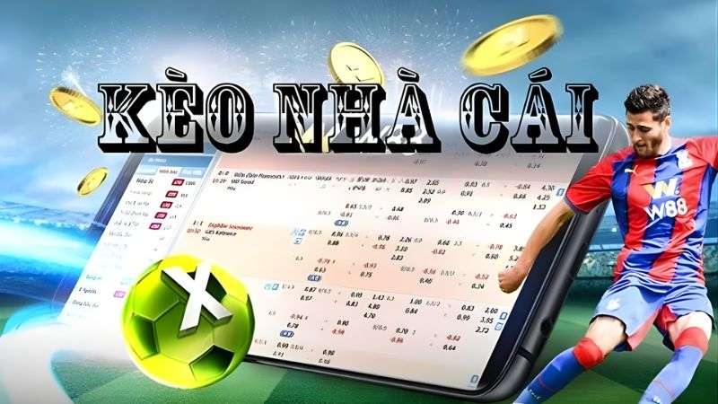 Dữ Liệu Keonhacai Là Gì? Nguồn thông tin chuẩn xác cho cược thủ