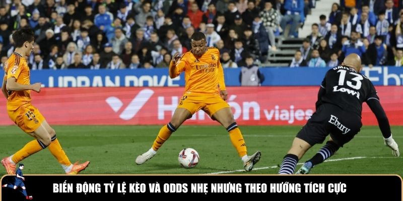 Biến động tỷ lệ kèo là rất quan trọng